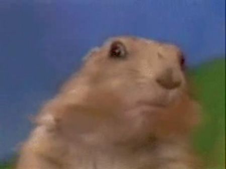 dramatic chipmunk